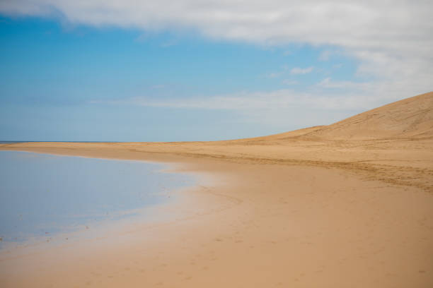 istock Landscape shot of sanddune with blue sky 1244837182