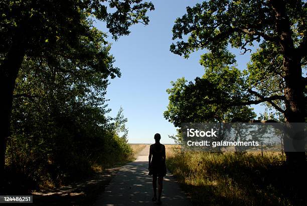 Floresta De Câmara - Fotografias de stock e mais imagens de Mata - Mata, Partindo, Mulheres