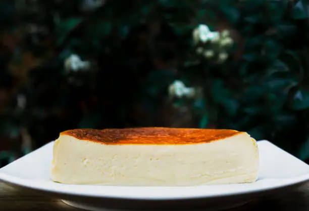 Photo of Half cup of basque burnt cheesecake on a white plate in depp green background.