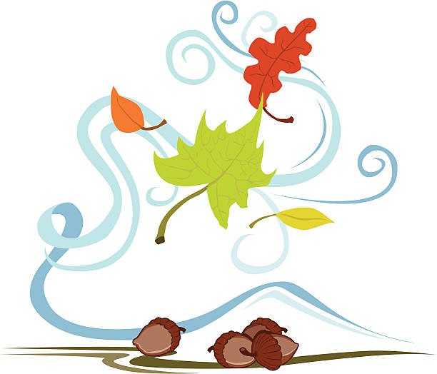 Outono folhas e nozes - ilustração de arte em vetor