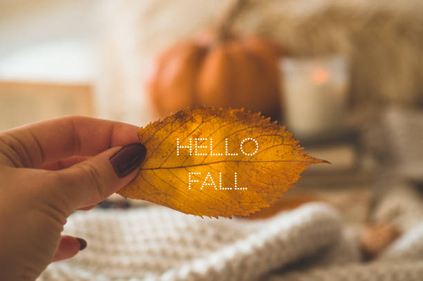 istock Hello Fall. Woman holds an orange-gold autumn leaf in her hands 1244895628