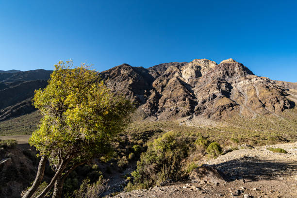 istock Steep mountains in Cajon del Maipo 1244900361