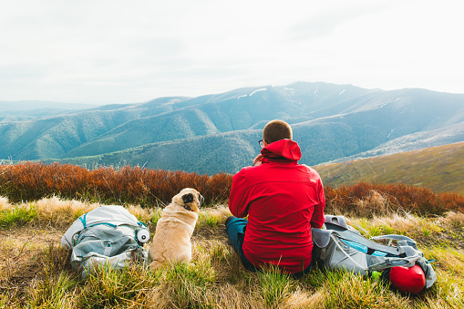 Young man traveler in eyeglasses and red jacket and his small beautiful dog - pug breed sitting on the colorful meadow enjoying the scenic view of the mountain peaks and having tasty dinner
