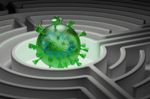 istock Virus Vaccine Research concept. Coronavirus inside labyrinth maze, 3D rendering 1244903233