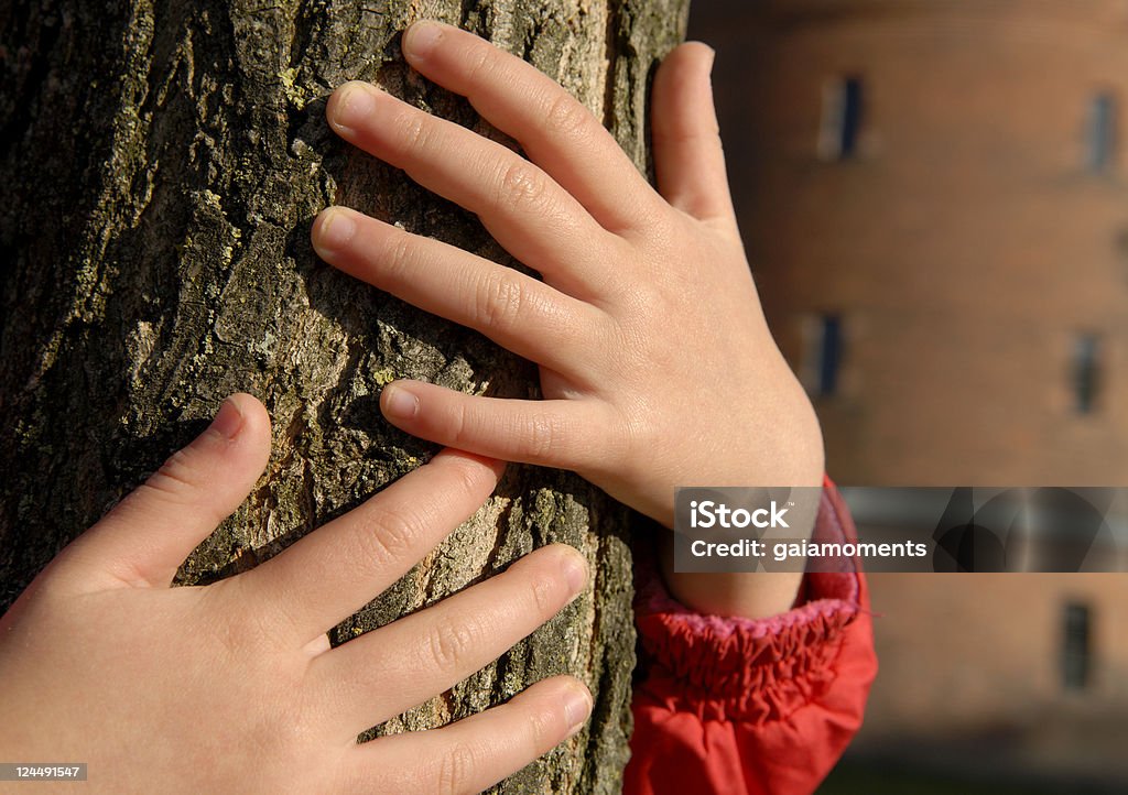 Abraçando uma árvore - Foto de stock de Cidade royalty-free