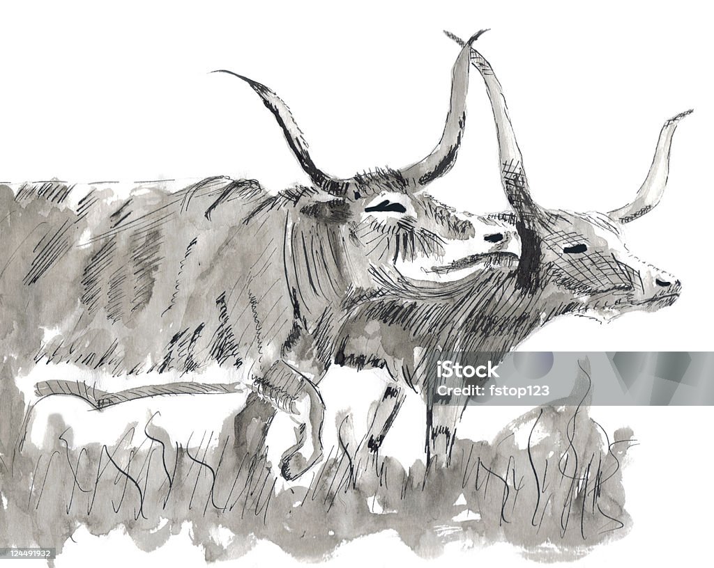 Pióro i atrament długie sygnały dźwiękowe - Zbiór ilustracji royalty-free (Bydło rasy Texas Longhorn)