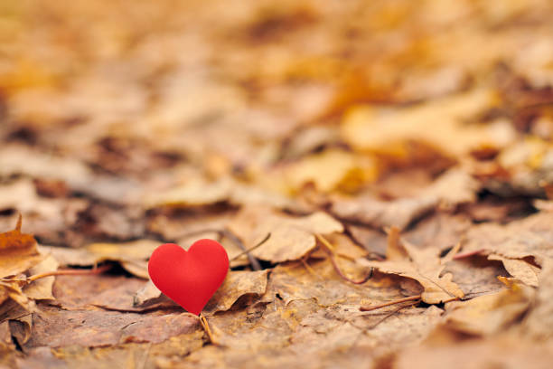 istock Infatuation or unrequited romantic love concept. 1244921603