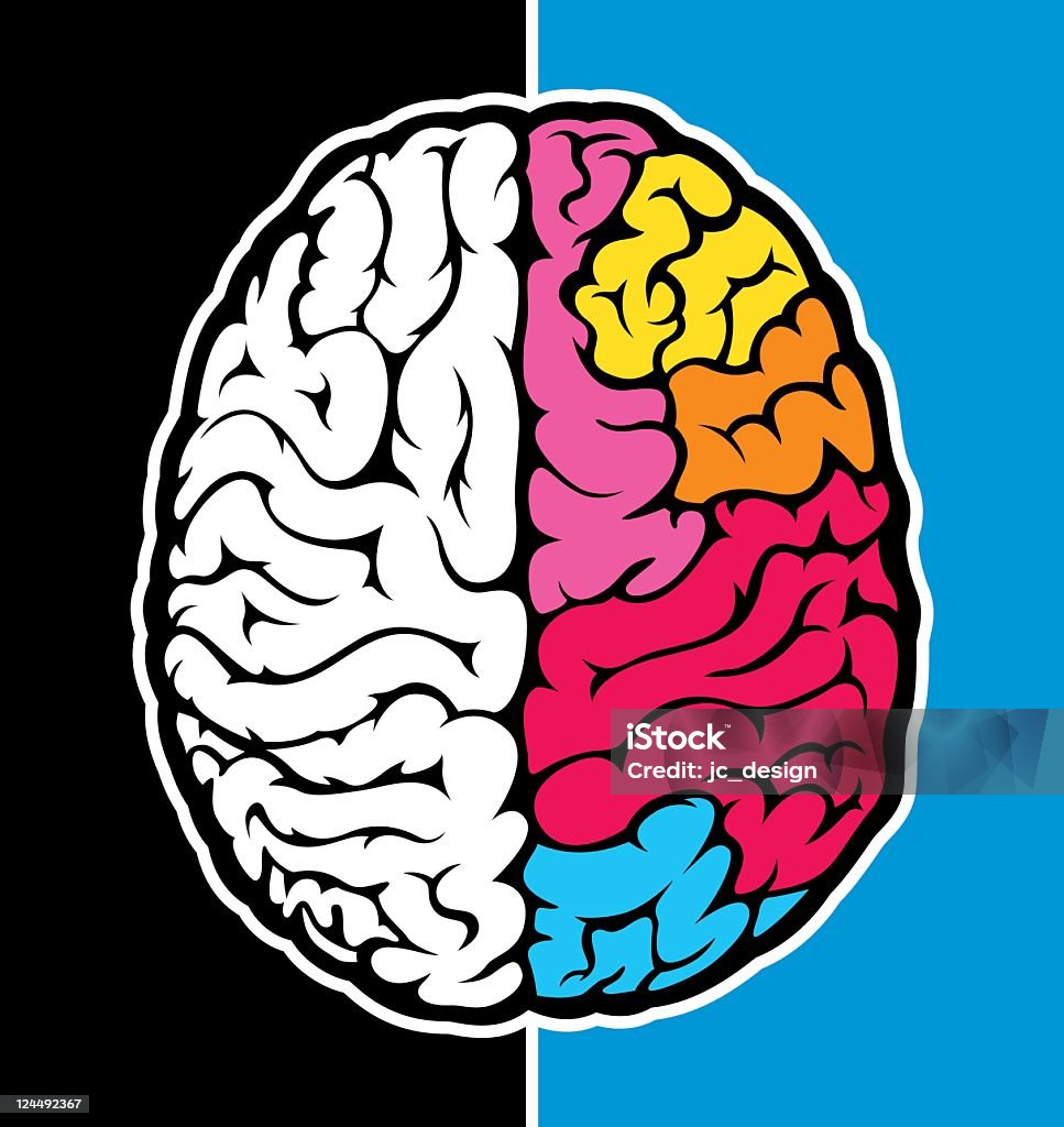 Prawej mózgu - Grafika wektorowa royalty-free (Prawa półkula mózgu)