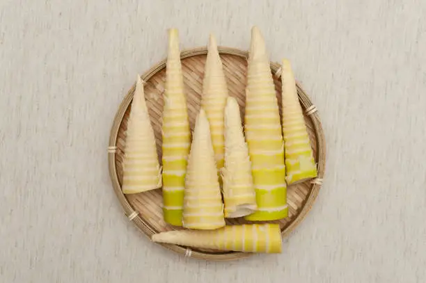 Photo of Japanese cuisine - Raw bamboo shoot peeled in a woven bamboo tray. Isolated on beige background.