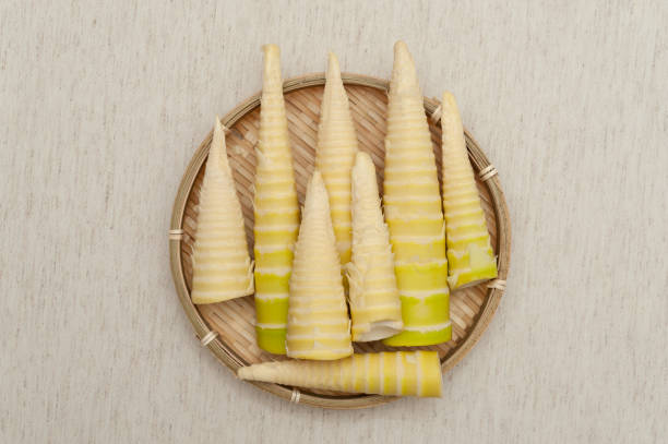 kuchnia japońska - surowa sesja bambusowa obrana w tkanej bambusowej tacy. odizolowany na beżowym tle. - bamboo bamboo shoot green isolated zdjęcia i obrazy z banku zdjęć