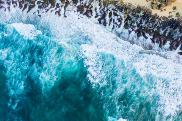 istock Big ocean waves hitting a rocky beach. View from above. 1244933231