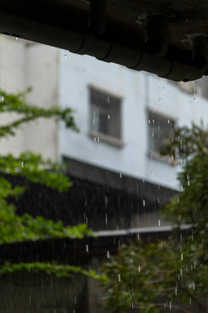 istock close up raindrops / water drop falling to roof with water 1244936396
