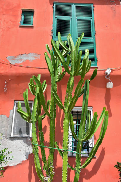 istock Camogli Liguria Italy 1244936978