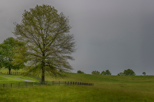 A landscape view of a pasture with trees and wooden fence in rural Virginia under cloudy skies.