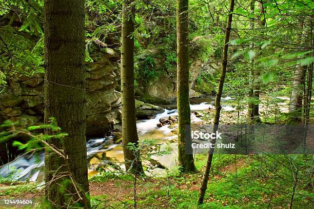 Ruscello Di Montagna - Fotografie stock e altre immagini di Acqua - Acqua, Acqua fluente, Albero