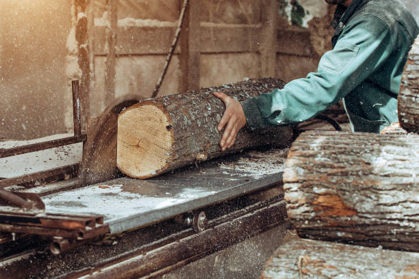 istock Carpenter cuts wooden board on circular saw. 1244950518