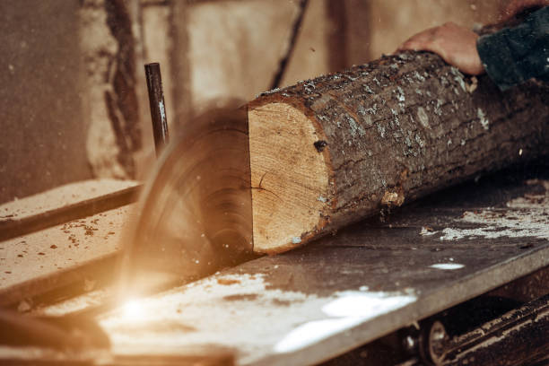 istock Carpenter cuts wooden board on circular saw. 1244954211