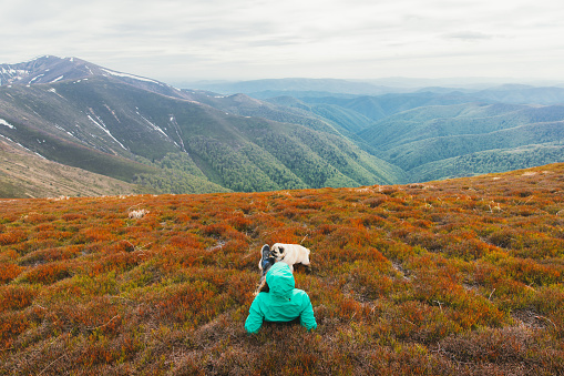 Young woman traveler in green jacket lying on the bright red meadow with her dog, enjoying the view of the endless blue mountain peaks in Carpathian Mountains, Ukraine