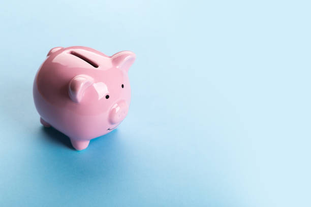 istock beautiful pink piggy bank on blue background 1244965947