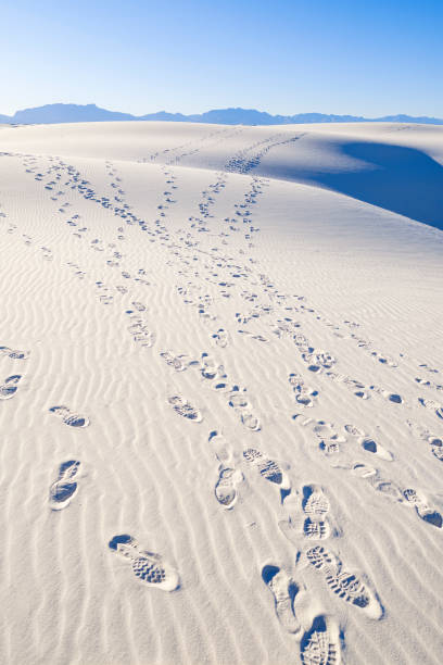 istock White Sands Gypsum Dunes 1244993448