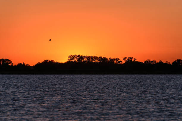 istock lake sunset sun bird trees 1244997835
