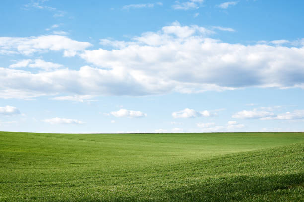 istock Natural field landscape 1244999444