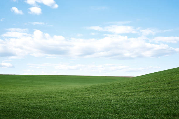istock Natural field landscape 1244999477