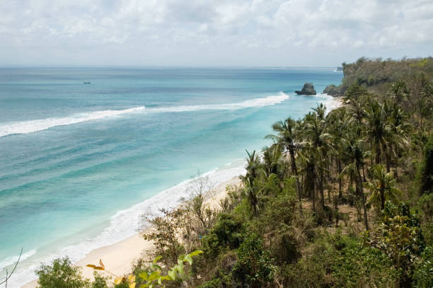 istock Padang beach Bali Indonesia 124500317