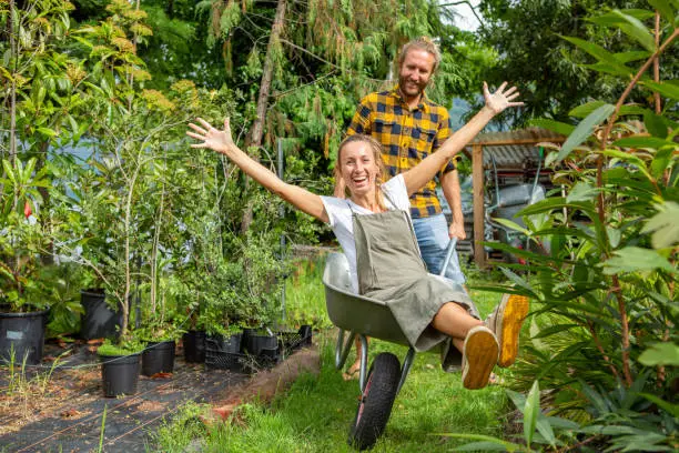 Young couple playing in garden with wheelbarrow, man pushing girlfriend inside having fun and playing together. Two people sharing good moments while gardening