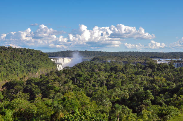 Iguazu Falls and jungle
