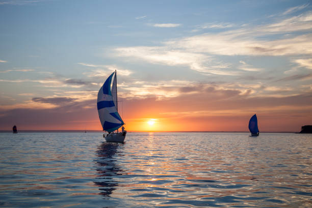 istock Yacht back to shore after the regatta 1245030035