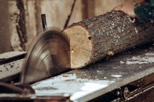 Carpenter cuts wooden board on circular saw. High quality photo