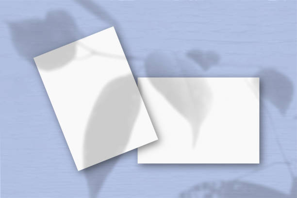 istock 2 sheets of white textured paper against a blue wall. Mockup overlay with the plant shadows. Natural light casts shadows from an exotic plant. Flat lay, top view. Horizontal orientation 1245037858