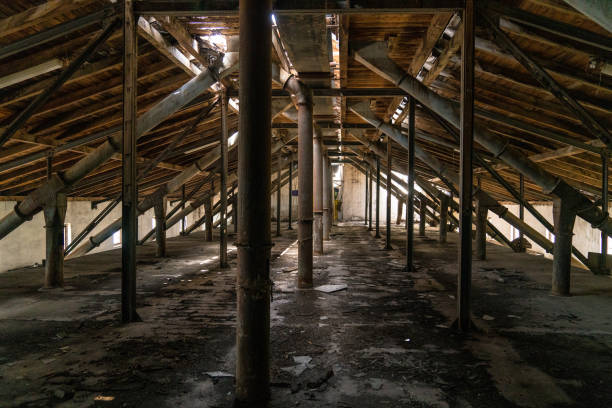 istock Old industrial building 1245038958