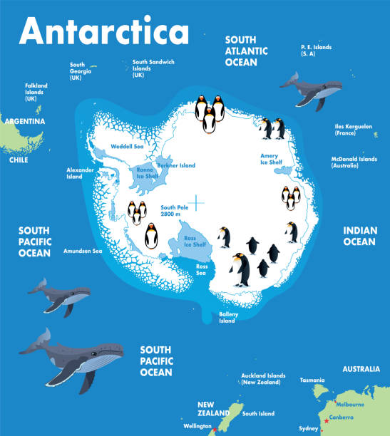 Antarctica Stock Illustration - Download Image Now - South Pole, Antarctica,  Emperor Penguin - iStock