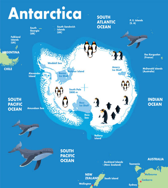 Antarctica Vector Antarctica Map
Vector http://legacy.lib.utexas.edu/maps/islands_oceans_poles/antarctic_region_pol_2009.pdf south pole stock illustrations