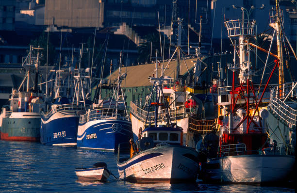 porto e barcos de pesca em a coruña para galícia espanha - galicia - fotografias e filmes do acervo