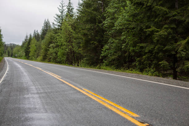 istock North Vancouver Island Highway 1245079141