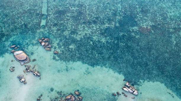 istock blue sea from a bird's eye view 1245081393