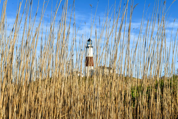 farol de montauk - long island, nova iorque - the hamptons long island lighthouse - fotografias e filmes do acervo