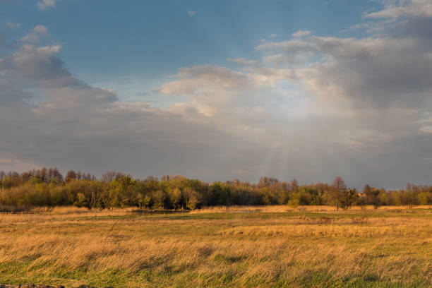 Spring rural landscape with river Ros, Ukraine.