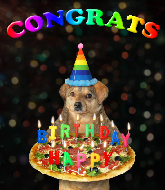 istock Dog carries birthday pizza 1245106951