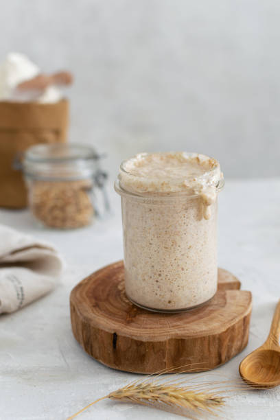 Active bubbly sourdough bread starter, healthy fermentation process on light table Active bubbly sourdough bread starter, healthy fermentation process on light table, copy space yeast starter stock pictures, royalty-free photos & images