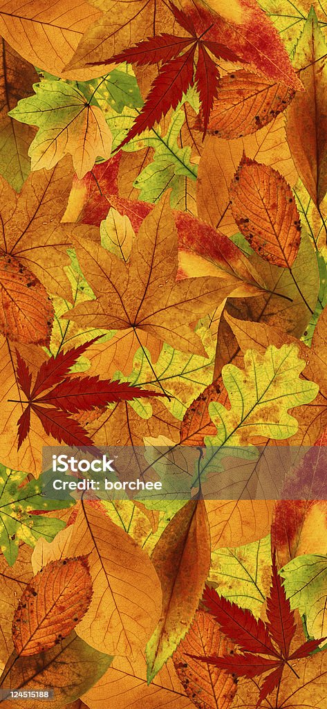 Vertikale Herbst Hintergrund - Lizenzfrei Herbst Stock-Foto