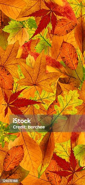 Vertikale Herbst Hintergrund Stockfoto und mehr Bilder von Herbst - Herbst, Blatt - Pflanzenbestandteile, Niemand