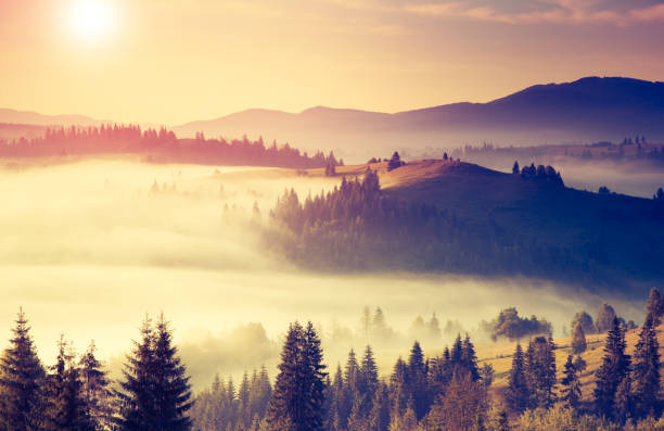 istock Fantastic sunny hills under morning sky. 1245160857