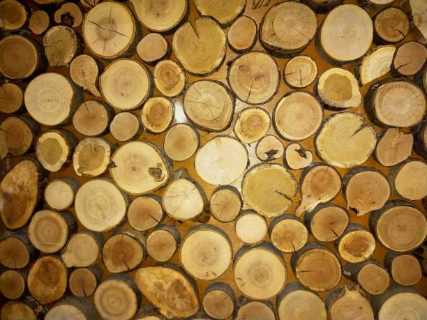 istock Background from a slice of natural wood, thin wood cuts. 1245170772