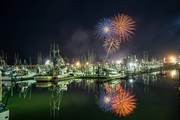 View of fireworks over port at night