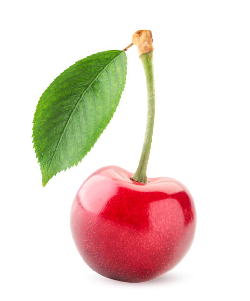 istock Sweet cherry with green leaf on a white background. Isolated 1245175128