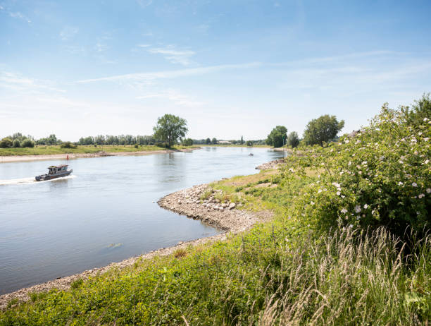 istock boat on river ijssel between deventer and zutphen on sunny summer day 1245181944